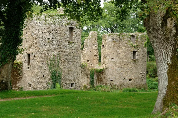 Frankrike, slottet av ranrouet i herbignac — Stockfoto