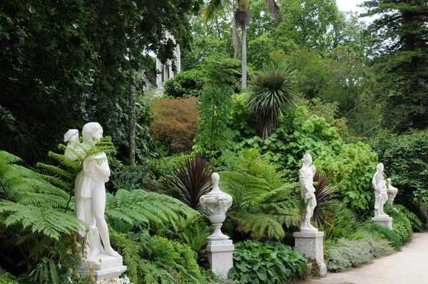 Portugal, het regaleira paleis tuin in sintra — Stockfoto