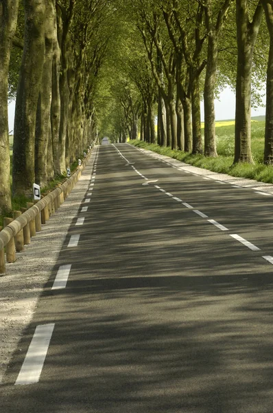 Francie, malé venkovské silnici lemované stromy — Stock fotografie