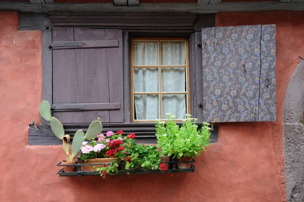 stock image France, Alsace, picturesque old house in Eguisheim