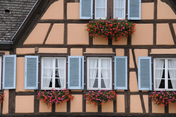 Francie, Alsasko, malebný starý dům ve městě eguisheim — Stock fotografie