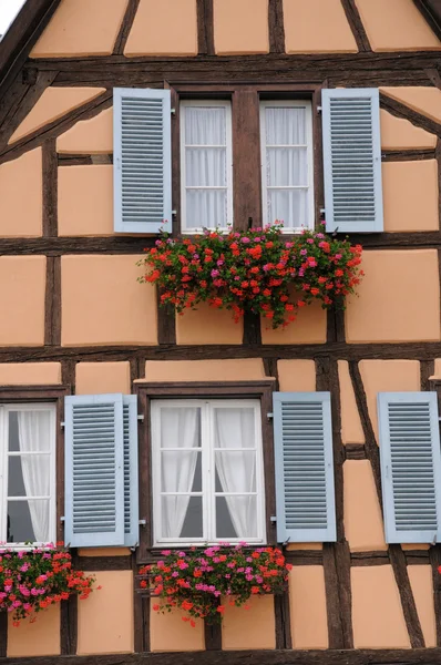 Francia, Alsacia, pintoresca casa antigua en Eguisheim —  Fotos de Stock