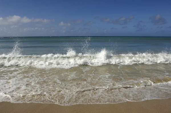 フランス、マルティニク、サリンス サントのビーチ アン — ストック写真