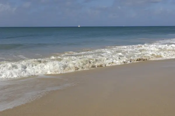 France, Martinique, Salines beach in Sainte Anne — Stock Photo, Image