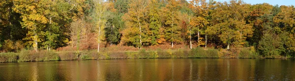 法国 les vaux de cernay 公园的秋天 — 图库照片