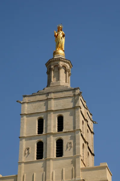 Франция, собор Нотр-Дам-де-Домс в Авиньоне — стоковое фото