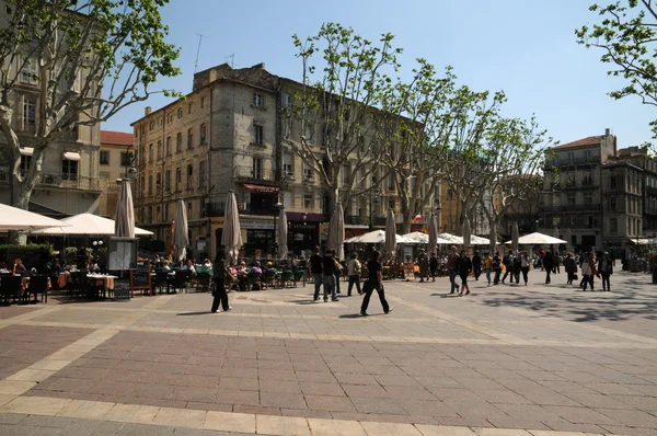 Franciaországban, Provence, Place de l Horloge Avignon városában — Stock Fotó