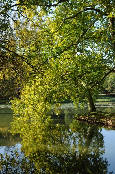 stock image Park Jean-Jacques Rousseau in Ermenonville