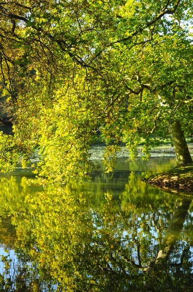 Parque Jean-Jacques Rousseau en Ermenonville —  Fotos de Stock