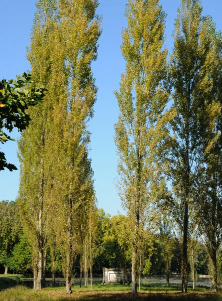 Парк Жан Жак Руссо в Ерменонвіль — стокове фото