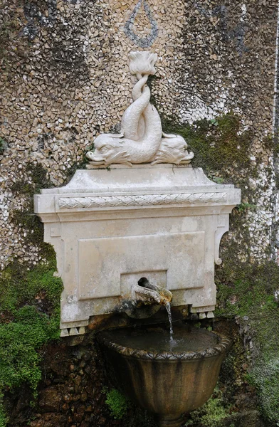 葡萄牙、 辛特拉的 regaleira 宫花园 — 图库照片