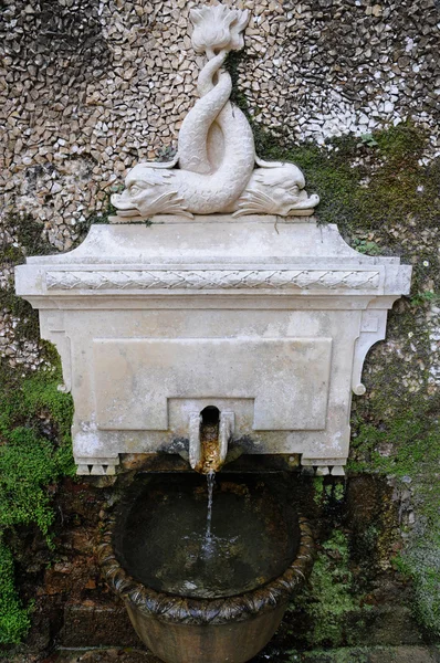 Portugalia, ogród Pałac regaleira w sintra — Zdjęcie stockowe