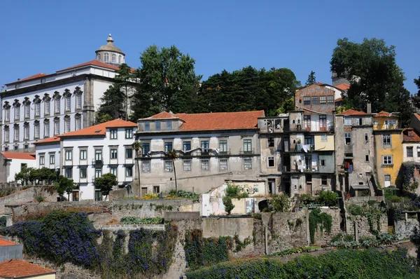 Португалія, старі історичні будинки в Порто — стокове фото
