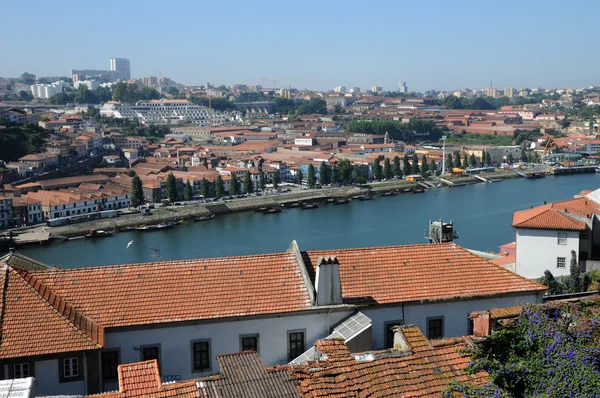 Portugal, las antiguas casas históricas de Oporto — Foto de Stock
