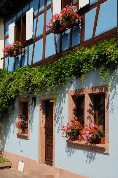 Frankrike, alsace, pittoreska gamla hus i eguisheim — Stockfoto