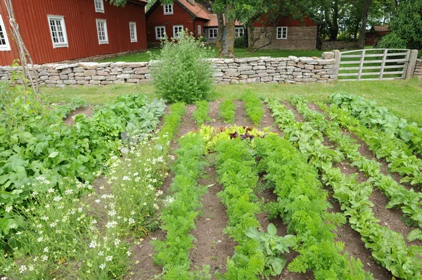 Suecia, museo tradicional del pueblo agrícola de Himmelsberga — Foto de Stock