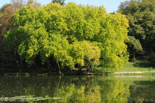 stock image Park Jean-Jacques Rousseau in Ermenonville