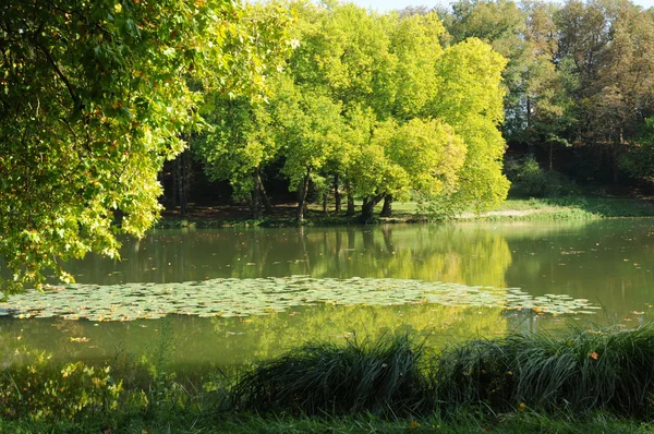 Parque Jean-Jacques Rousseau em Ermenonville — Fotografia de Stock
