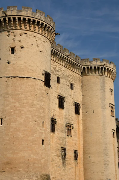 Frankrike, medeltida castel av tarascon i provence — Stockfoto