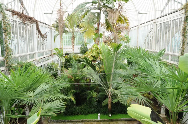 El jardín de Tradgardsforeningen en Gotemburgo — Foto de Stock