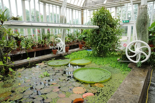 stock image The garden of Tradgardsforeningen in Gothenburg