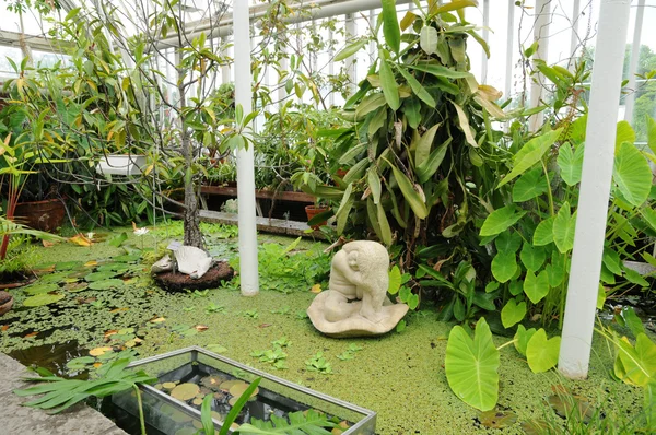 stock image The garden of Tradgardsforeningen in Gothenburg