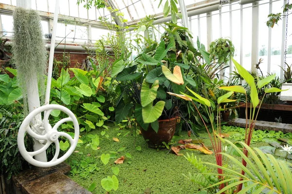 stock image The garden of Tradgardsforeningen in Gothenburg