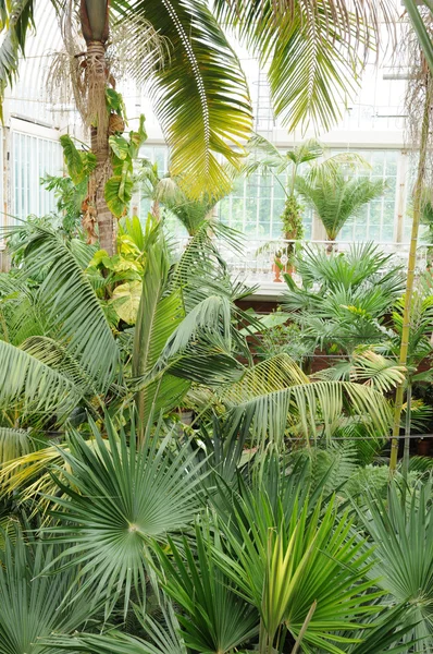 stock image The garden of Tradgardsforeningen in Gothenburg