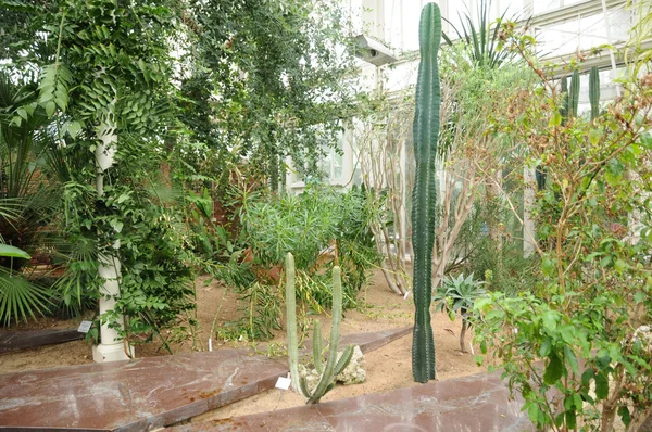 Сад Традгардфоренбаха в Готэме — стоковое фото