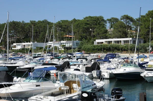 Gironde, zeilschepen in de haven voor lege cap ferret — Stockfoto