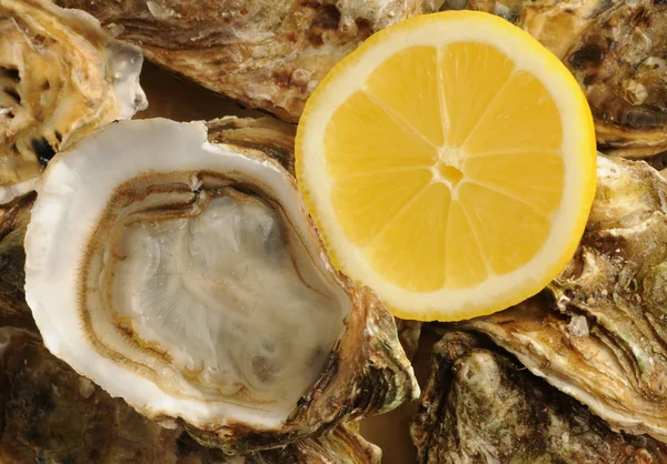 Stock image Close up of a oysters and lemon