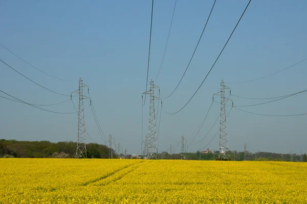 Rape field and electric line in Ile de France — Stock Photo, Image