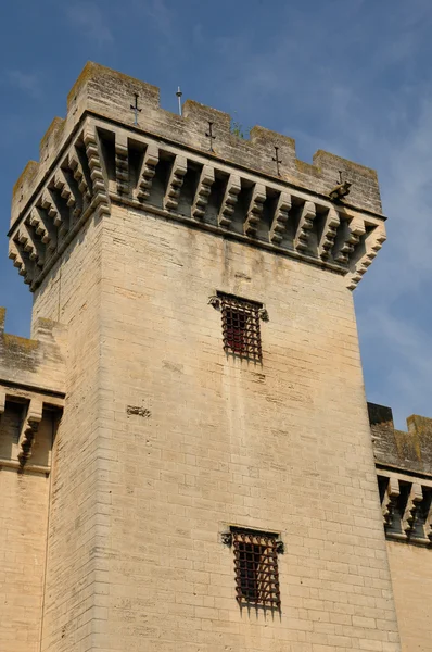 フランス プロヴァンス タラスコンの中世の城 — ストック写真
