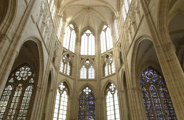 Франция, готическая церковь Сен-Сюльпис-де-Фавифрес — стоковое фото