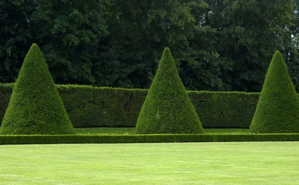Франция, формальный сад замка Шо — стоковое фото