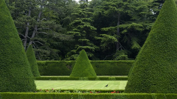 Франція, формального саду замку Sceaux — стокове фото