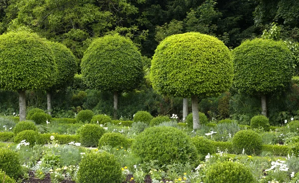 Fransa, sceaux Kalesi resmi Bahçe — Stok fotoğraf