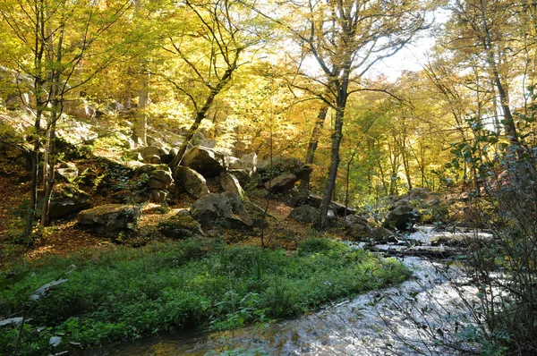 stock image France, Les Vaux de Cernay in Chevreuse valley