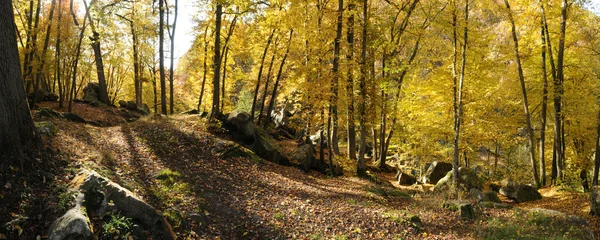 stock image France, Les Vaux de Cernay in Chevreuse valley