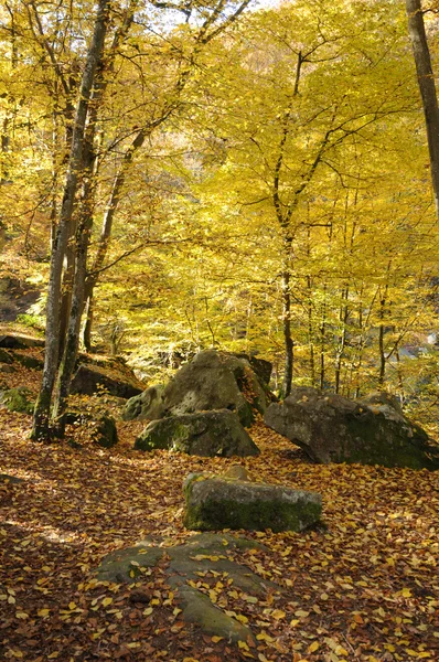 stock image France, Les Vaux de Cernay in Chevreuse valley