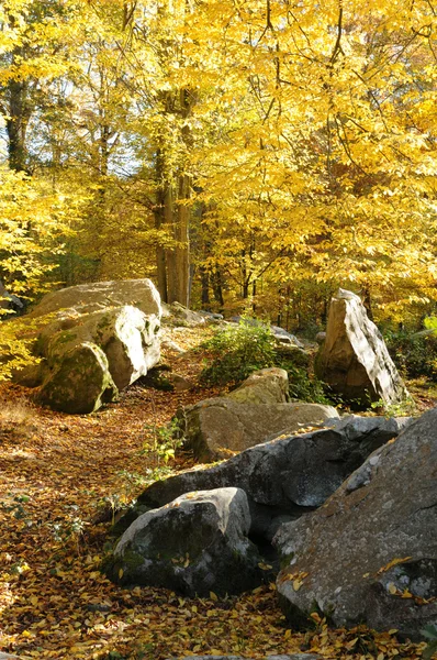 Stock image France, Les Vaux de Cernay in Chevreuse valley