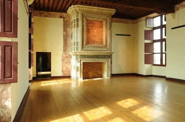 stock image France, the renaissance castle of Cadillac in Gironde