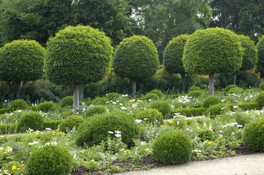 France, formal garden of the castle of Sceaux clipart