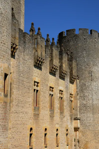 stock image France, the medieval castle of Roquetaillade in Gironde