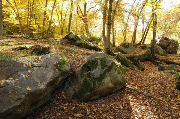 stock image France, Les Vaux de Cernay in Chevreuse valley