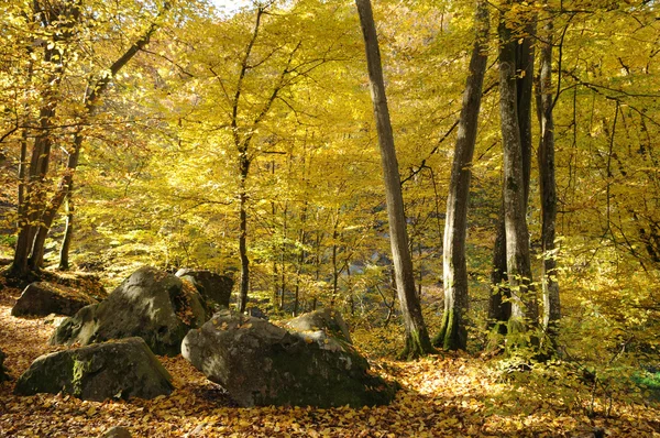 Γαλλία, Les Vaux de Cernay στην κοιλάδα Chevreuse — Φωτογραφία Αρχείου