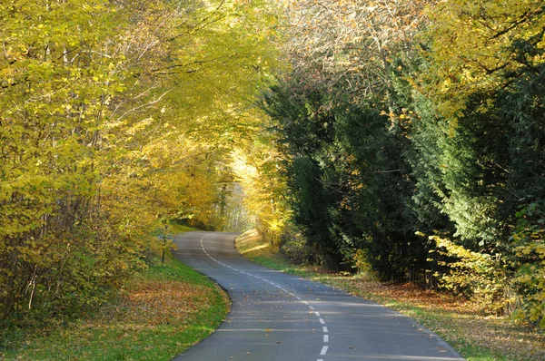 stock image France, a little country road in Chevreuse valley