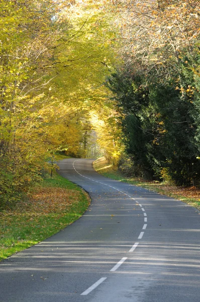 stock image France, a little country road in Chevreuse valley