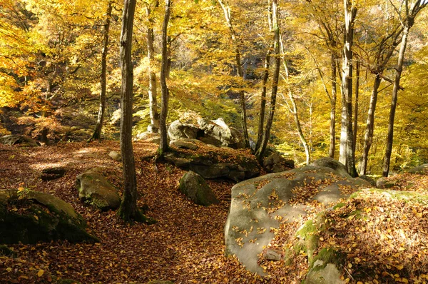 stock image France, Les Vaux de Cernay in Chevreuse valley