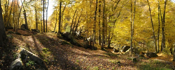 stock image France, Les Vaux de Cernay in Chevreuse valley